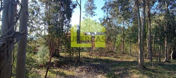 1285m² Land in Miranda do Corvo, Portugal No. 155839 9