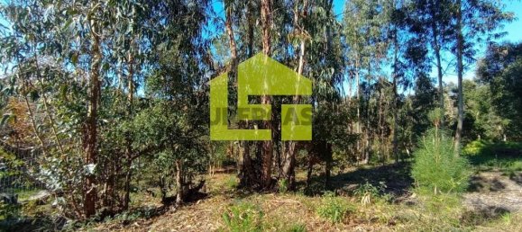 1285m² Land in Miranda do Corvo, Portugal No. 155839 8