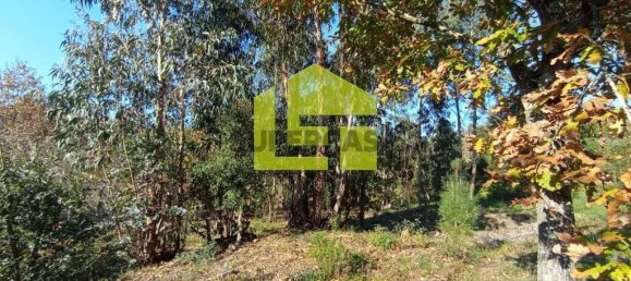 1285m² Land in Miranda do Corvo, Portugal No. 155839 5