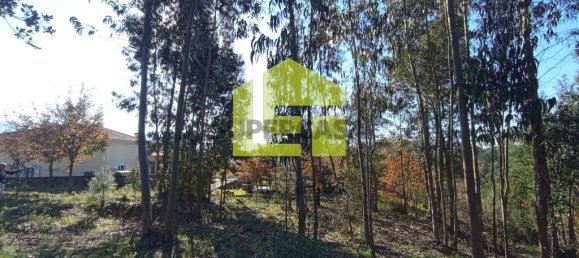 1285m² Land in Miranda do Corvo, Portugal No. 155839 11