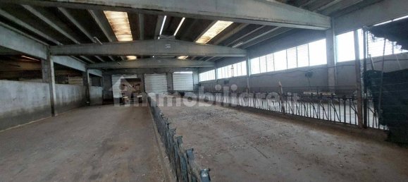 5 rooms House in Pagazzano, Italy No. 360245 20