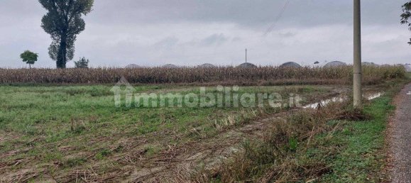 5 rooms House in Pagazzano, Italy No. 360245 10