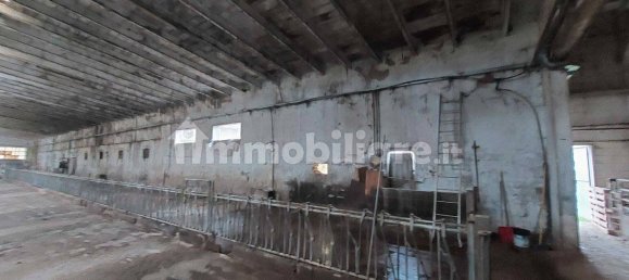 5 rooms House in Pagazzano, Italy No. 360245 11