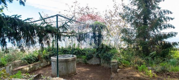 5 rooms House in Milo, Italy No. 235247 5