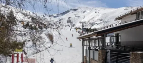 1 chambre Appartement à Sierra Nevada, Spain No. 176335 46