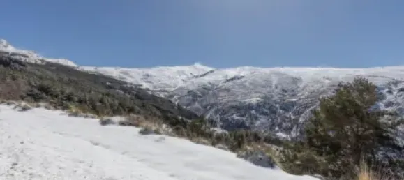 1 chambre Appartement à Sierra Nevada, Spain No. 176335 52