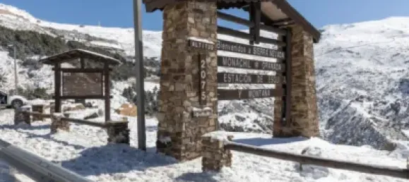 1 chambre Appartement à Sierra Nevada, Spain No. 176335 48