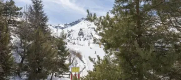 1 chambre Appartement à Sierra Nevada, Spain No. 176335 50