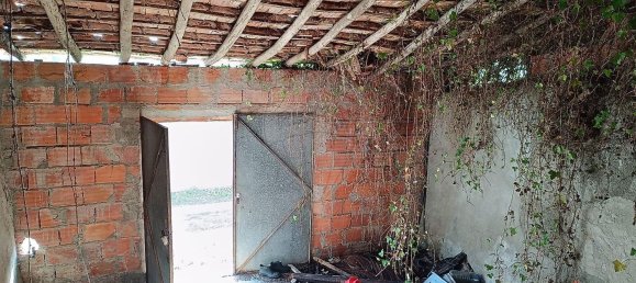 3 Schlafzimmer Haus in Torres Novas, Portugal, Nr. 183550 2