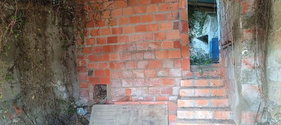 3 Schlafzimmer Haus in Torres Novas, Portugal, Nr. 183550 4