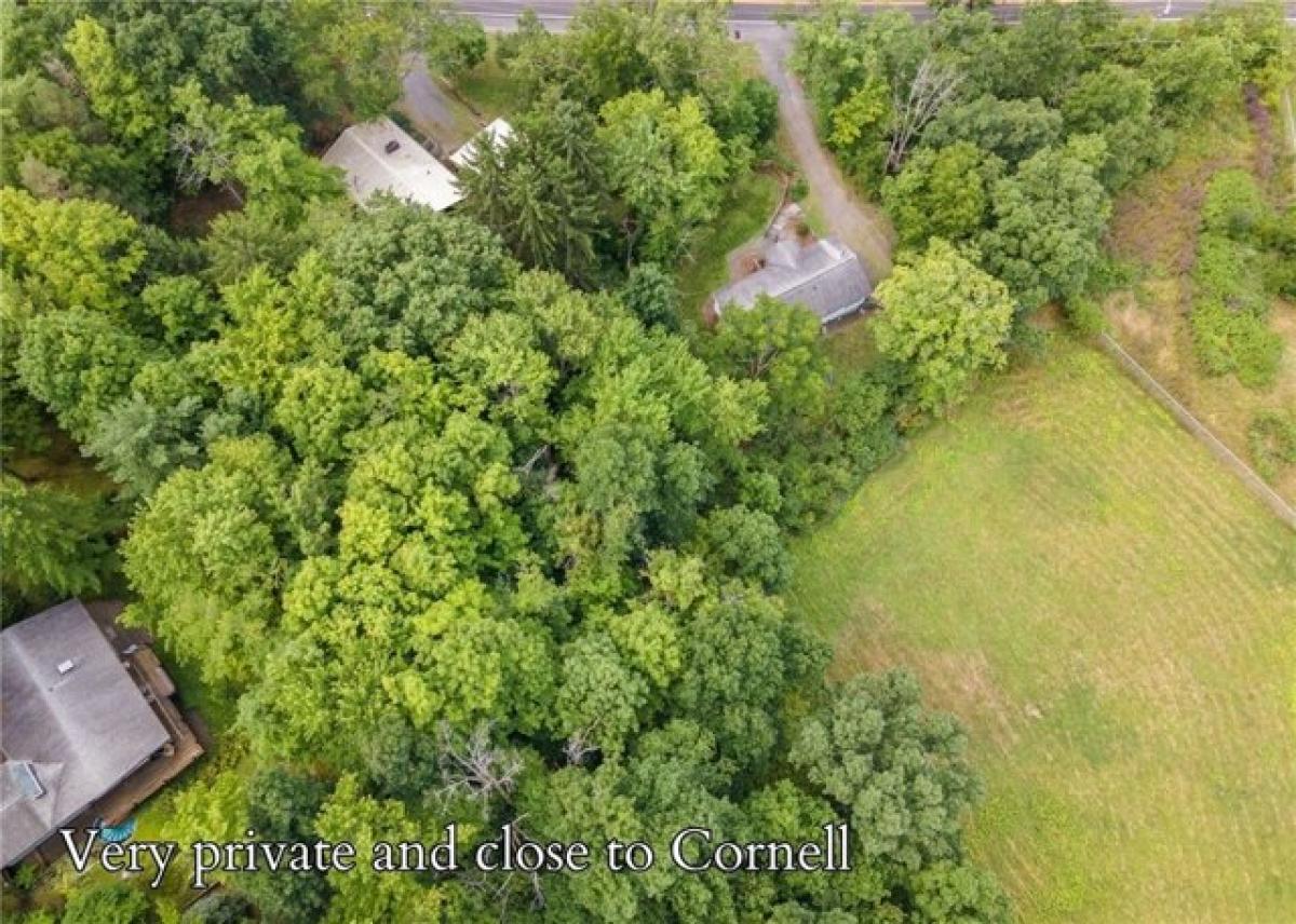 4 bedrooms House in Ithaca, USA No. 416563