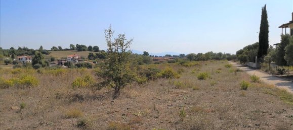 30600m² Hotel in Polygyros, Greece No. 5422 2