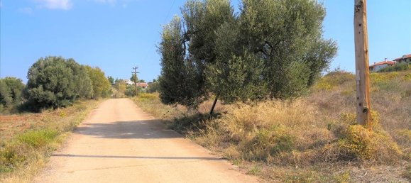 30600m² Hotel in Polygyros, Greece No. 5422 8