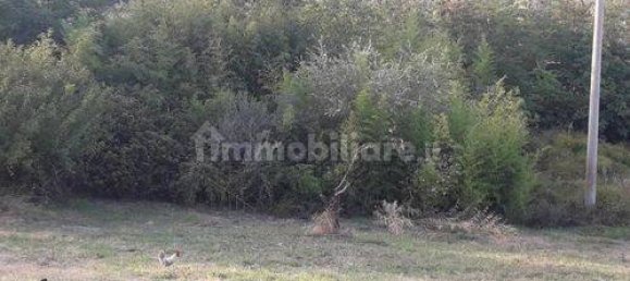 2800m² Land in Alanno, Italy No. 302208 7