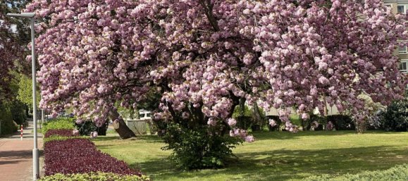 1 bedroom Apartment in Lower Saxony, Germany No. 205022 12