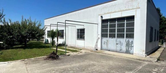 4 غرف نوم فيلا في Moglia, Italy رقم 355723 17