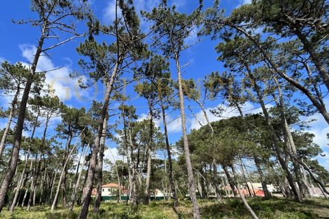 Terreno en Colares, Portugal No. 354804