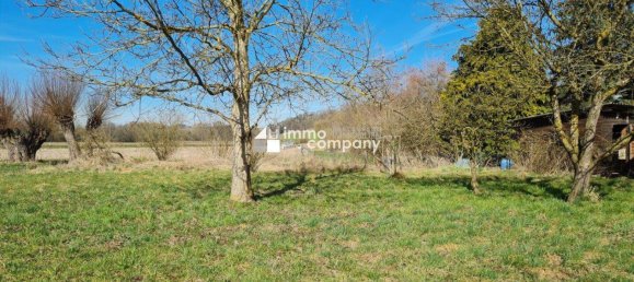 Land in Gunskirchen, Austria No. 146879 3