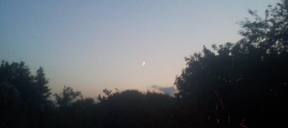 Grundstück in Oder-Spree, Germany, Nr. 297030 7