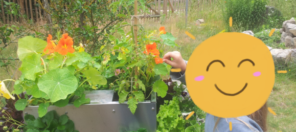 Grundstück in Oder-Spree, Germany, Nr. 297030 6