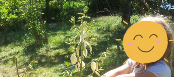 Grundstück in Oder-Spree, Germany, Nr. 297030 2