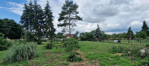 4 bedrooms House in Anhalt-Bitterfeld, Germany No. 272316 2