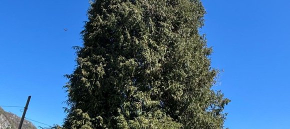 5-salle Villa à Lavena Ponte Tresa, Italy No. 253850 38