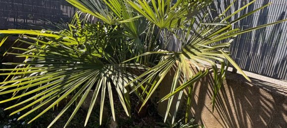 5-salle Villa à Lavena Ponte Tresa, Italy No. 253850 33