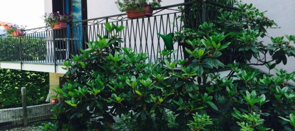 5-salle Villa à Lavena Ponte Tresa, Italy No. 253850 2