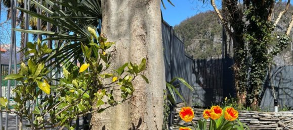 5-salle Villa à Lavena Ponte Tresa, Italy No. 253850 32