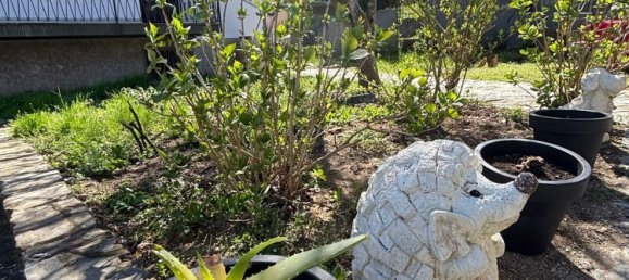 5-salle Villa à Lavena Ponte Tresa, Italy No. 253850 34