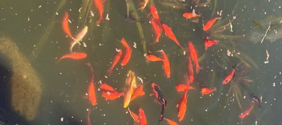 5-salle Villa à Lavena Ponte Tresa, Italy No. 253850 36