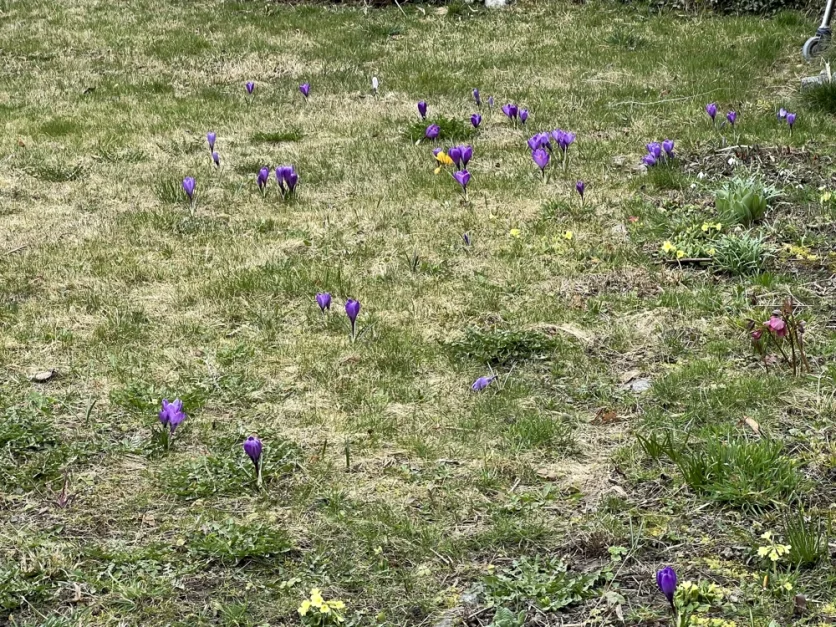  قطعة أرض في Altotting, Germany رقم 304384