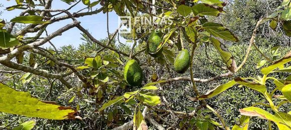 Casa de 3 dormitorios en L'Ampolla, Spain No. 38788 24