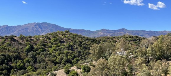 600m² Land in Estepona, Spain No. 28757 5