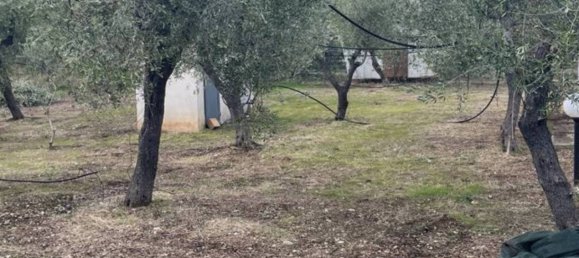 3 chambres Appartement à Vieste, Italy No. 36386 11