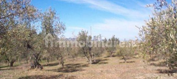 6 bedrooms Villa in Castellina Marittima, Italy No. 78387 6