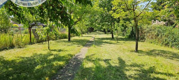 Grundstück in Laa an der Thaya, Austria 515m², Nr. 163634 5