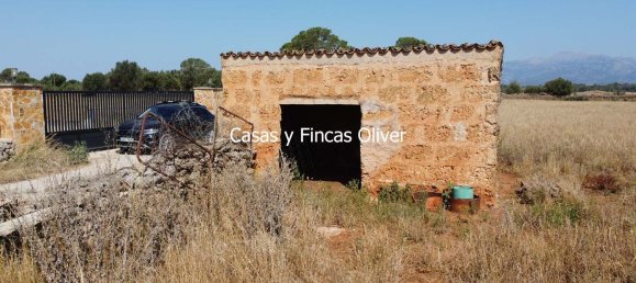 Land in Inca, Spain No. 155364 7