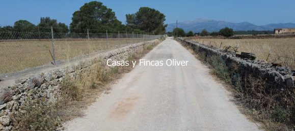 Land in Inca, Spain No. 155364 14
