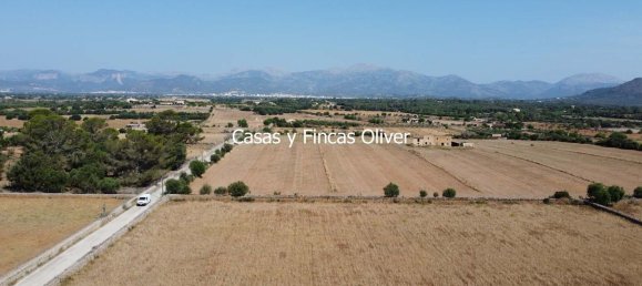Land in Inca, Spain No. 155364 10