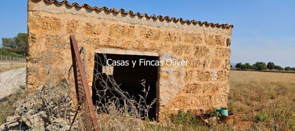 Land in Inca, Spain No. 155364 13