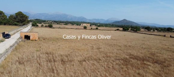 Land in Inca, Spain No. 155364 5