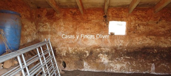 Land in Inca, Spain No. 155364 8