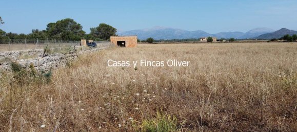 Land in Inca, Spain No. 155364 12