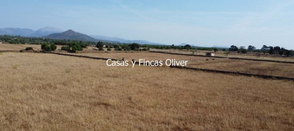 Land in Inca, Spain No. 155364 11