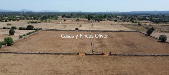Land in Inca, Spain No. 155364 3