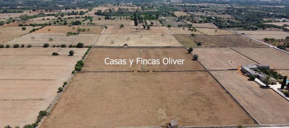 Land in Inca, Spain No. 155364 2