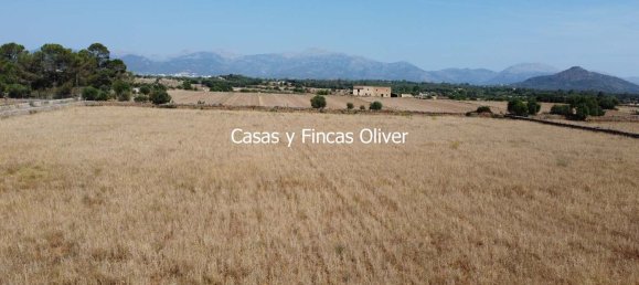 Land in Inca, Spain No. 155364 6