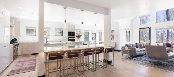 5 bedrooms Commercial property in Avon, USA No. 25 9